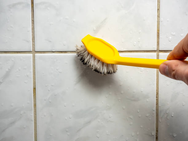 Best Mold Removal Near Me  in Smackover, AR