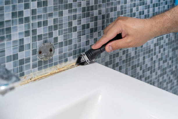 Mold Removal Process in Smackover, AR
