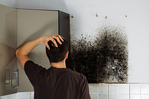 Best Mold Cleaning Services  in Smackover, AR